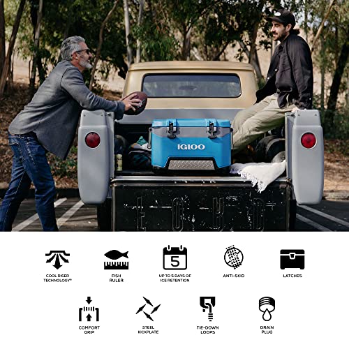 Igloo BMX Hard Coolers (25-72QT)