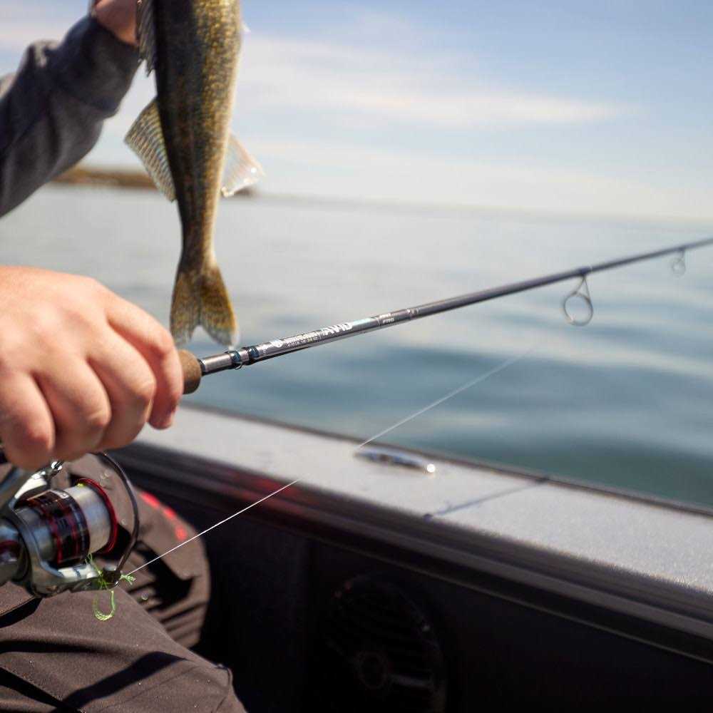 St. Croix Avid Series Walleye Spinning Rod - Sports Supplies Online Store