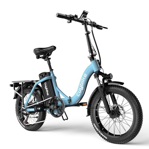 Folding Electric Bike for Adults with Peak 1000W Motor, 48V 20AH Battery up to 30MPH 80 Miles, 20" Fat Tire All Terrain Ebike