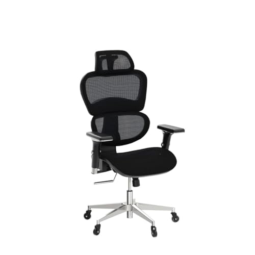 Oline ErgoPro Ergonomic Office Chair, Rolling Desk Chair with 4D Adjustable Armrest, 3D Lumbar Support, Blade Wheels
