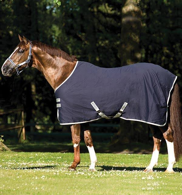 Amigo Stable Sheet - Excalibur/Orange