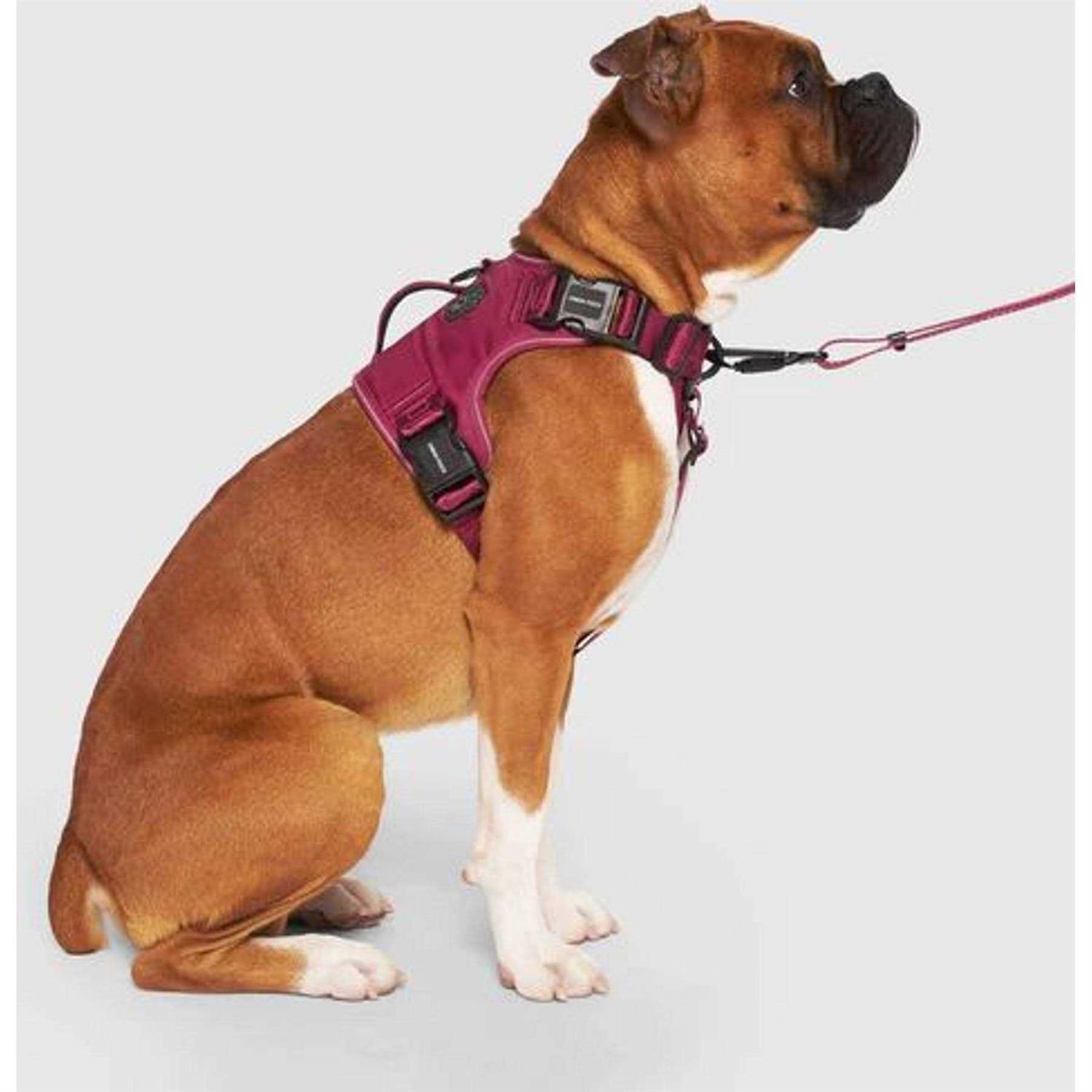 Canada Pooch Complete Control Dog Harness - Pet Supplies online store