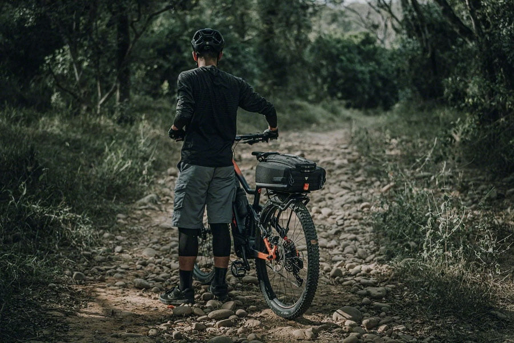 Topeak E-Xplorer TrunkBag