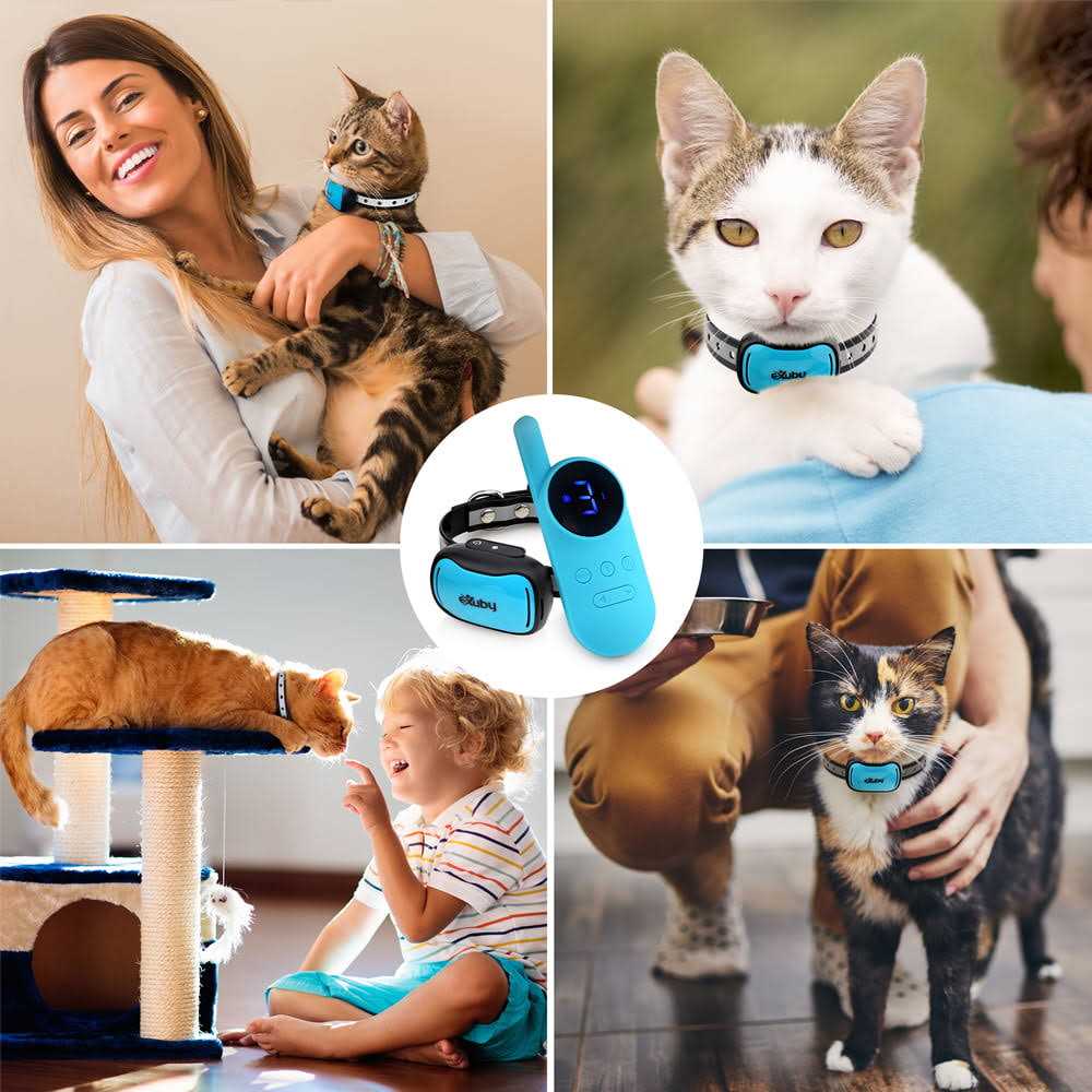 Exuby Small Cat Shock Collar w/ Remote Designed for Training Cats - Pet Supplies online store