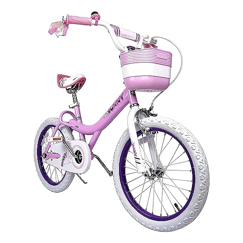 Royalbaby Princess Girls Kids Bike 12 14 16 18 20 Inch Children Bicycle with Basket for Age 3-12 Years