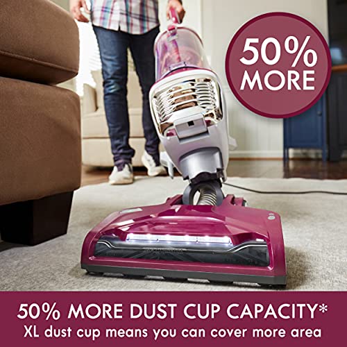 Kenmore DU5092 Bagless Upright Vacuum Lift-Up Carpet Vacuum Cleaner 2-Motor Power Suction with Hair Eliminator Brushroll, Pet Handi-Mate, 2L