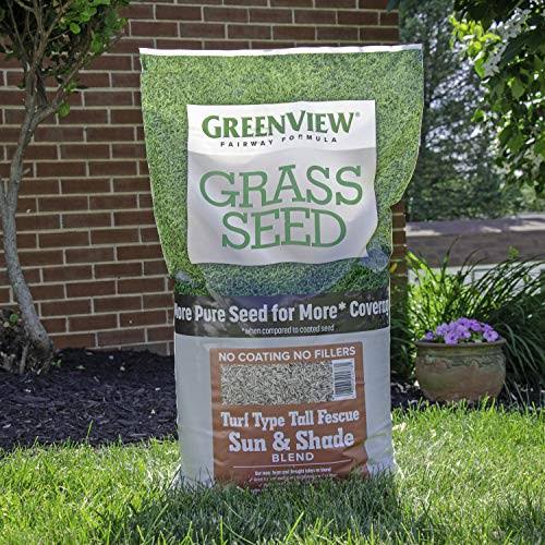 Greenview 2829348 Fairway Formula Grass Seed Turf Type Tall Fescue Sun u0026 Shade Blend, 20 lb