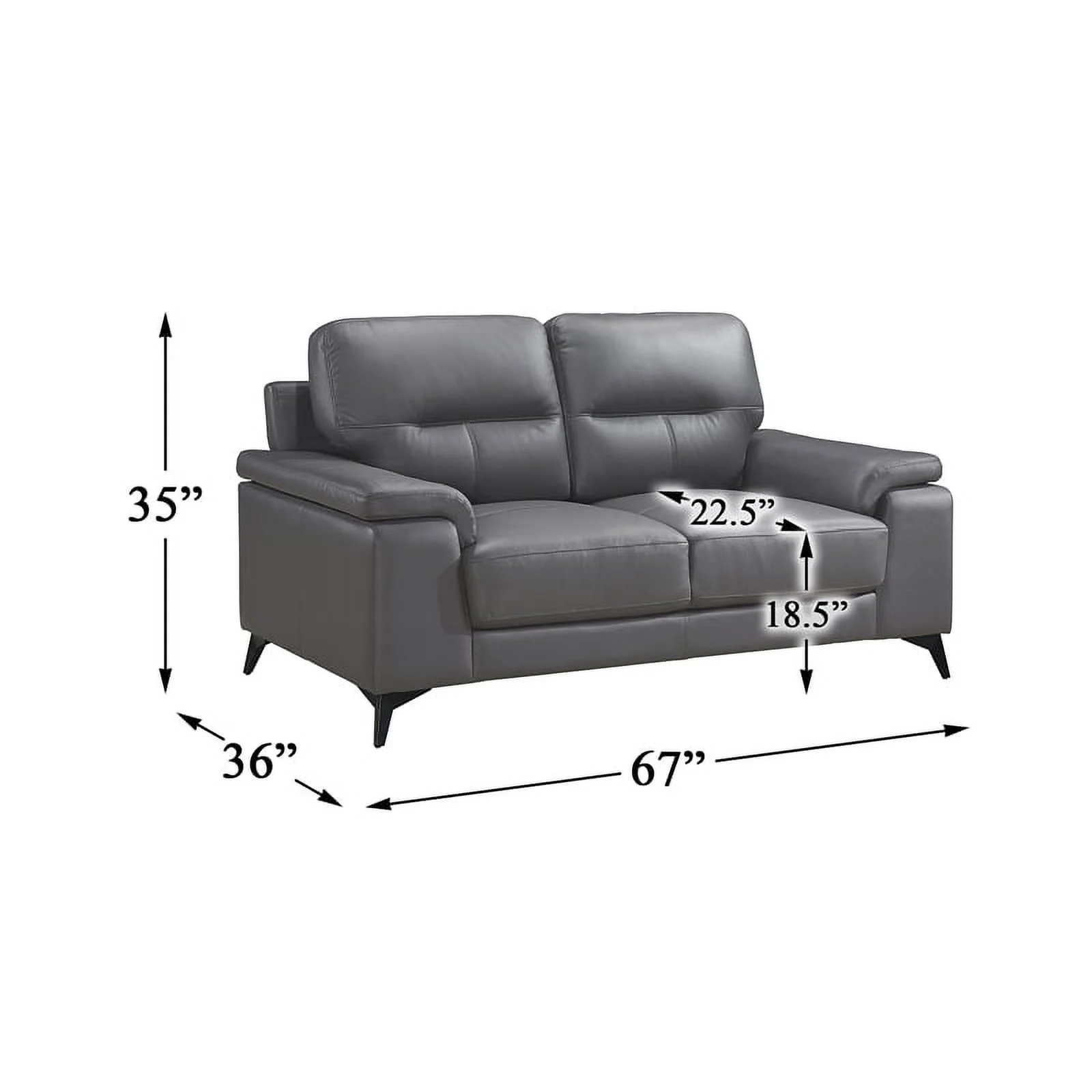Lexicon Mischa Leather 2-Piece Upholstered Sofa Set in Dark Gray