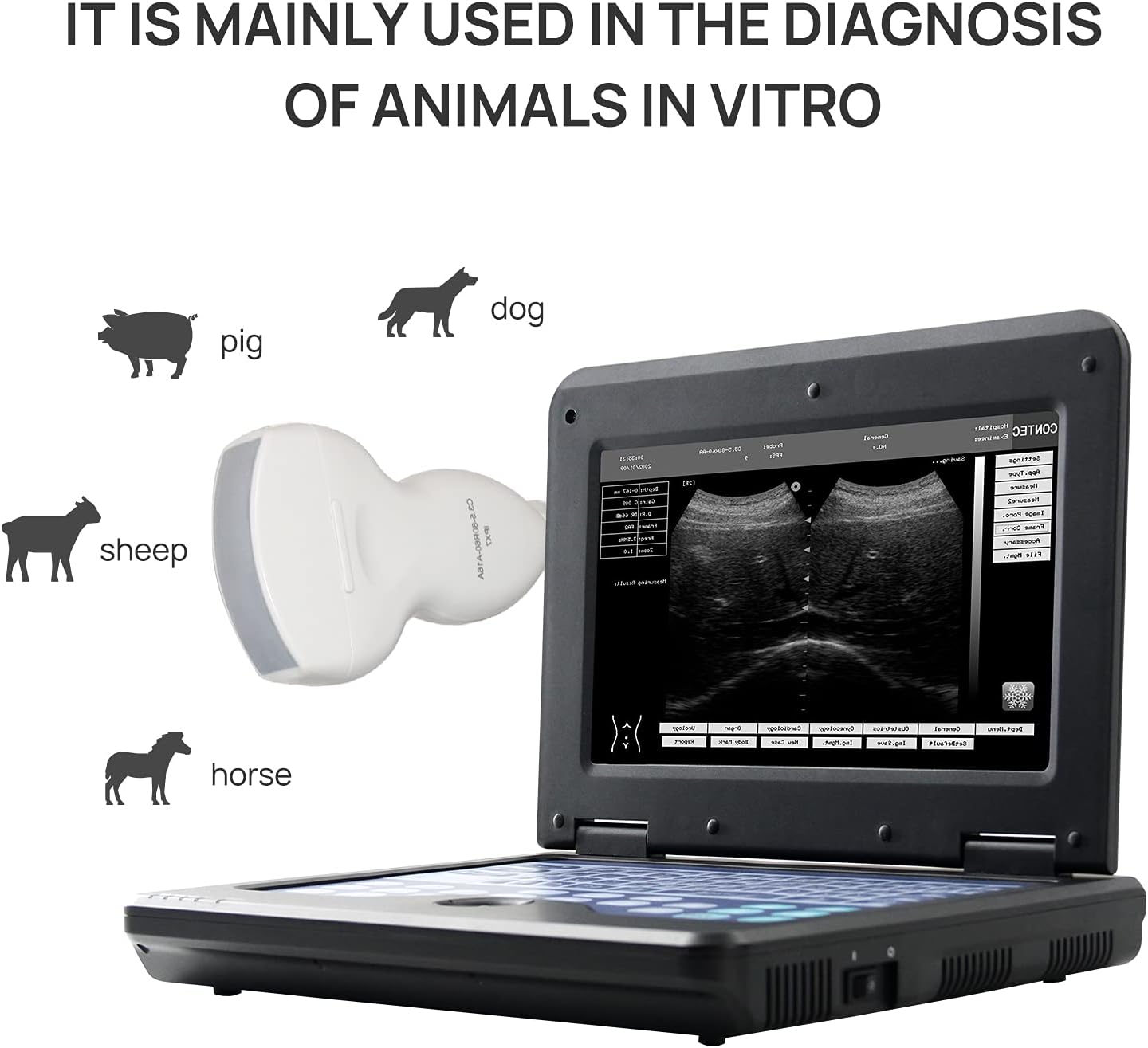 CONTEC USA Veterinary Laptop Machine Ultrasound Scanner Newest Horse/Equine/Cow/Sheep use (Convex & Rectal Linear Probe)