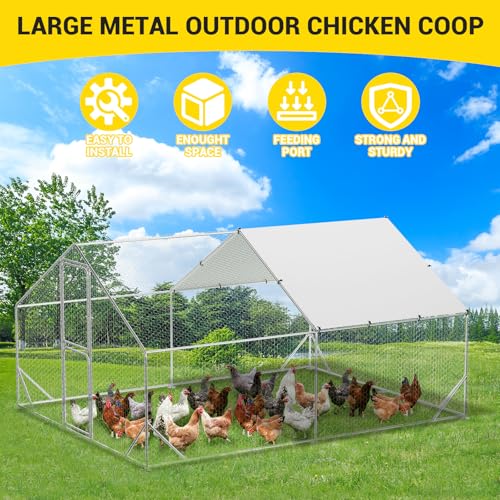 Large Metal Chicken Coop, Walk-in Poultry Cage