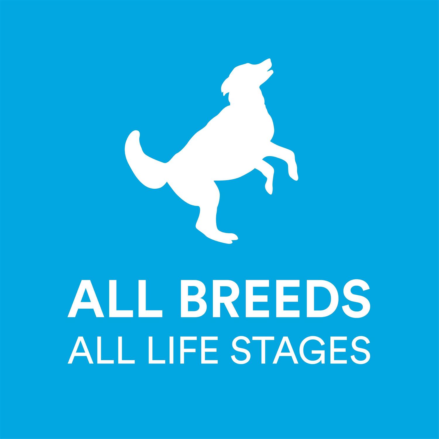 WholeHearted Grain Free All Salmon and Pea Recipe Dry Dog Food - Pet Supplies online store