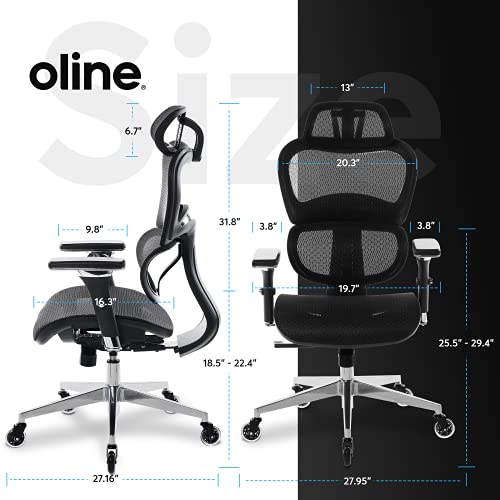 Oline ErgoPro Ergonomic Office Chair, Rolling Desk Chair with 4D Adjustable Armrest, 3D Lumbar Support, Blade Wheels
