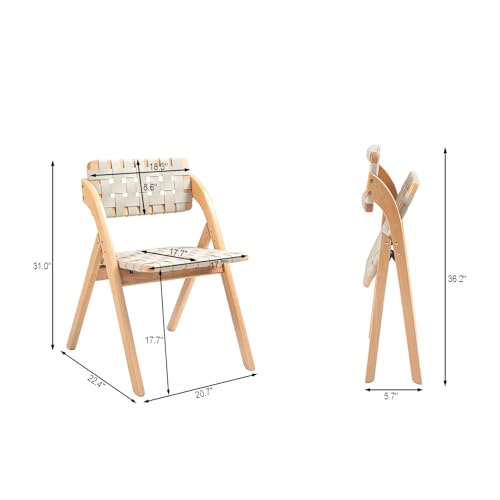 Folding Chairs Set of 2