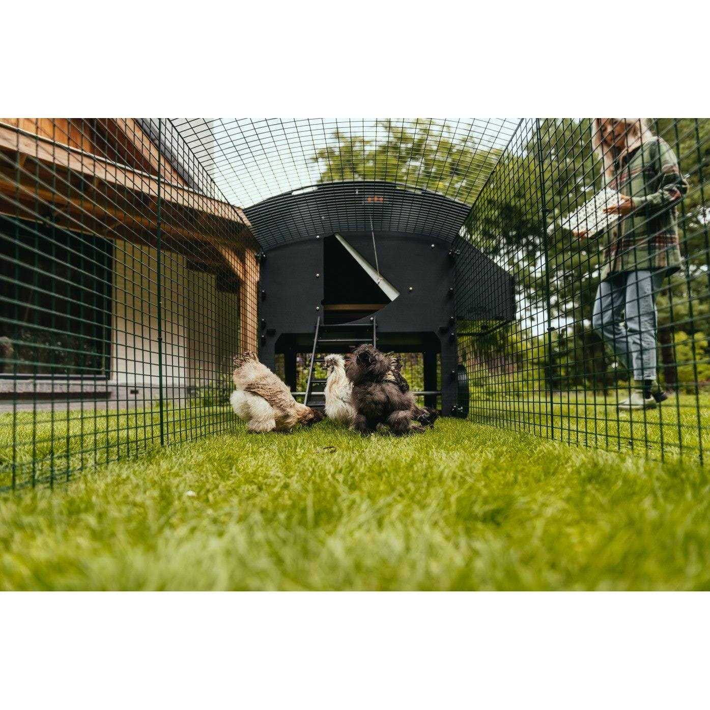 Nestera 6.5ft Run for large raised coop - Pet Supplies online store