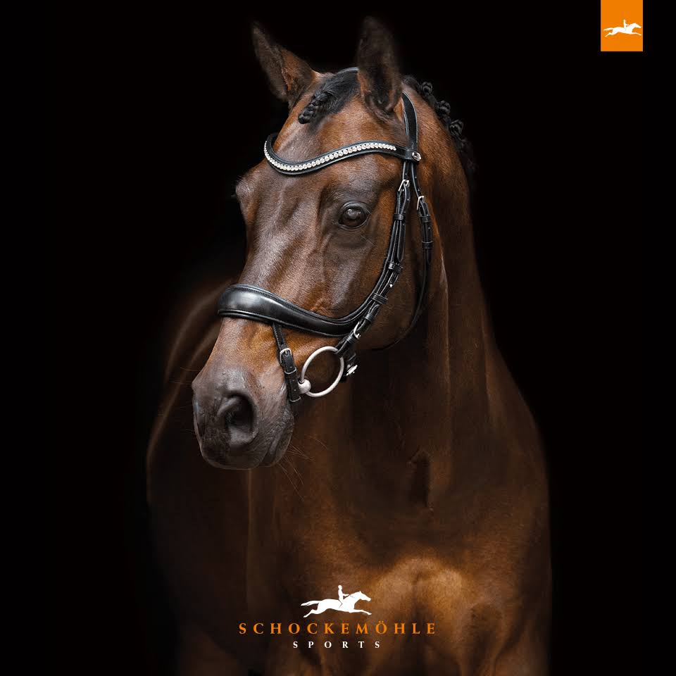 Schockemohle Equitus Beta Anatomical Bridle