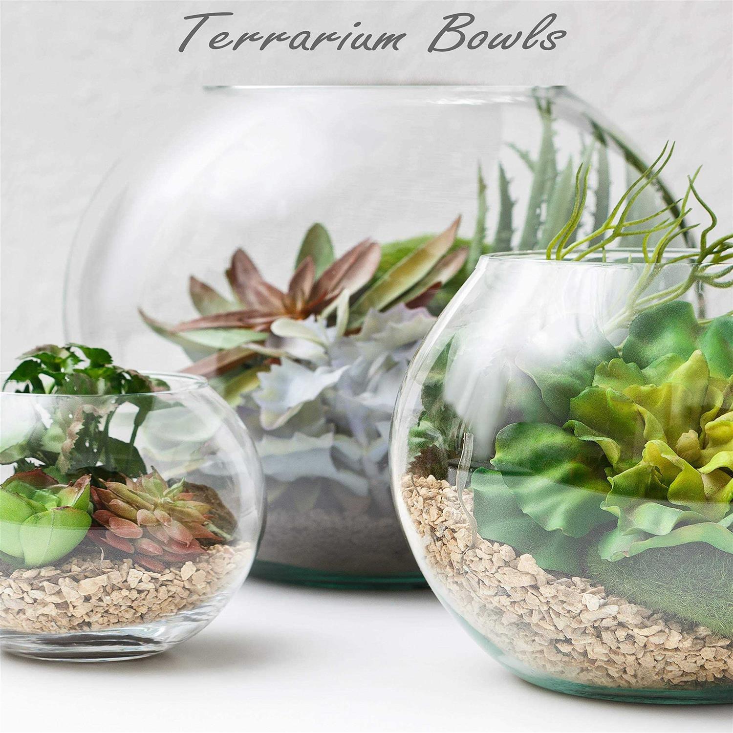 Cys Excel Large Glass Bubble Bowl Multiple Size Choices Fish Bowl Vase - Pet Supplies online store