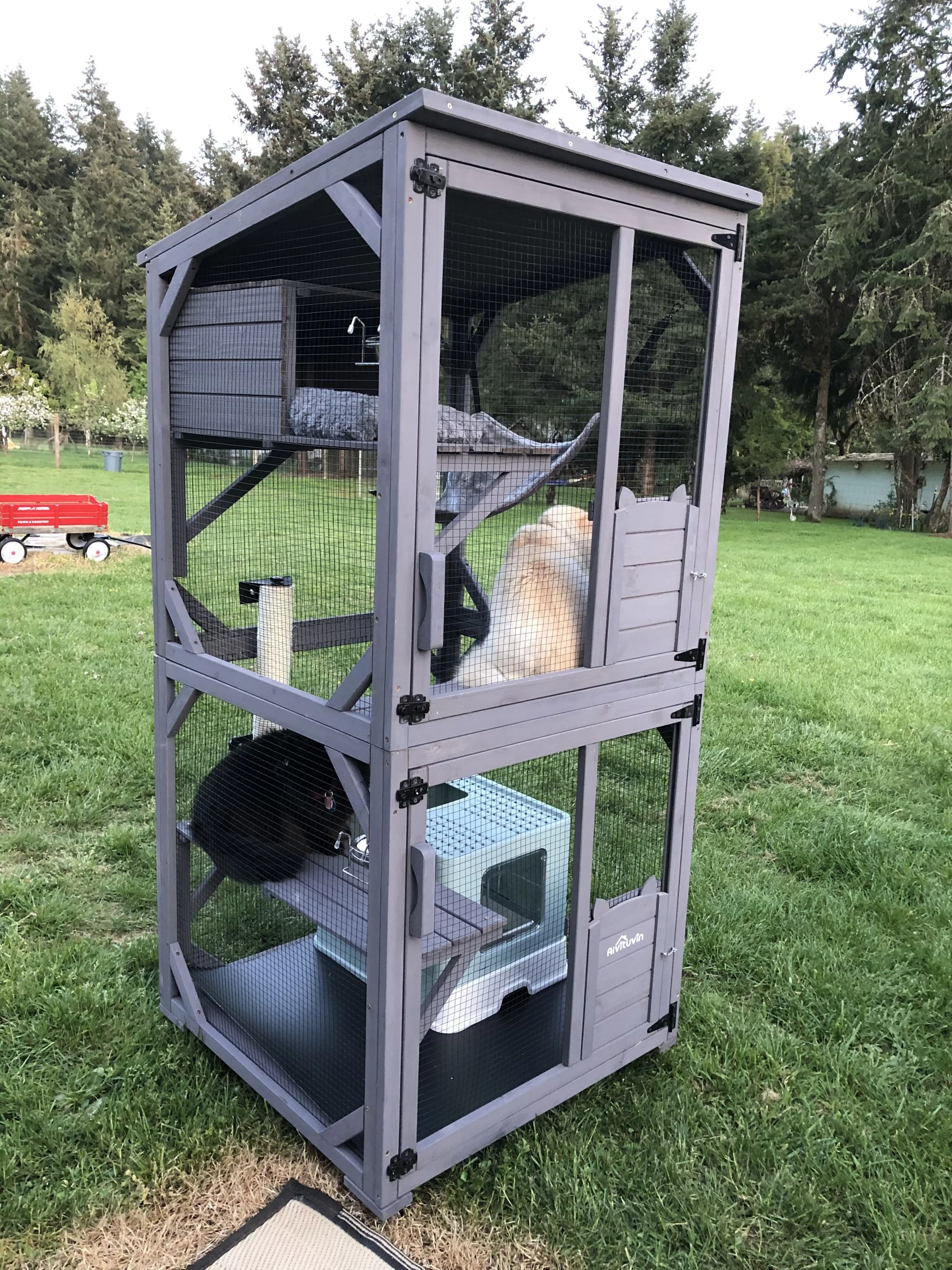 Morgete Catio Outdoor Cat House Wooden Cat Enclosure Resting Box with 3 Platforms, 71 inch Kitten Condo