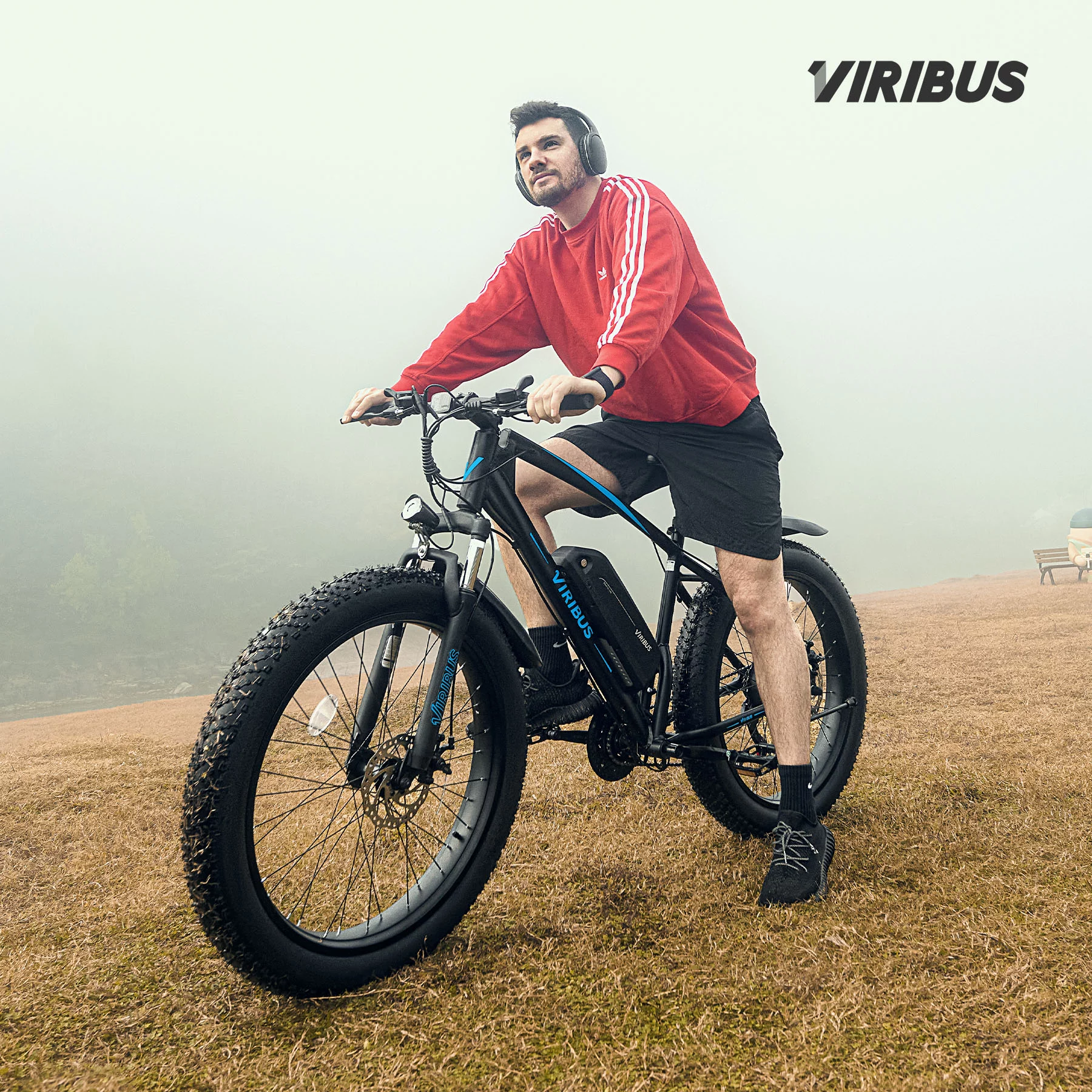 Viribus Electric Mountain Bike for Adults 26" 500W Fat Tire eBike with 36V Battery Blue