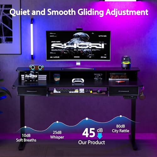 48x24 Inches Electric Standing Desk with 2 Drawers, Height Adjustable Stand up Desk for Home Office, Ergonomic Sit to Stand Table with Storage Shelf