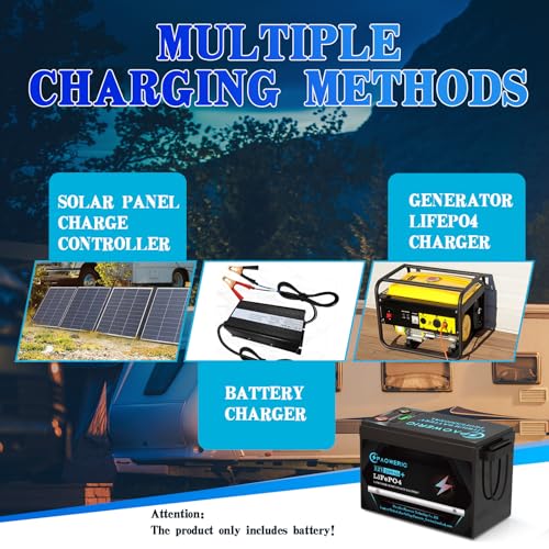 12V 300Ah LiFePO4 Battery Built-in 250A BMS,Rechargeable Lithium Battery, 10000+ Deep Cycles,Perfect for Solar systerm,RV,Camping,Battery Backup