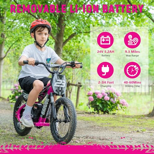 wanan Electric Dirt Bike for Kids 6-12 with Shock-Absorbing Front Fork, 250W Electric Motorcycle Up to 15.5MPH, 24V Detachable Battery, 16''