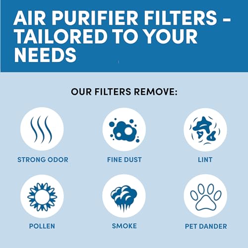 VEVA Air Purifier Large Room - Premium Air Purifiers for Allergies, Smoke, Dust, Pet Dander & Odor