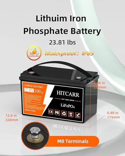 12V 100Ah LiFePO4 Battery, 12V Deep Cycle Rechargeable Lithium Iron Phosphate Rechargeable Battery with BMS perfect for Solar, Marine, RV