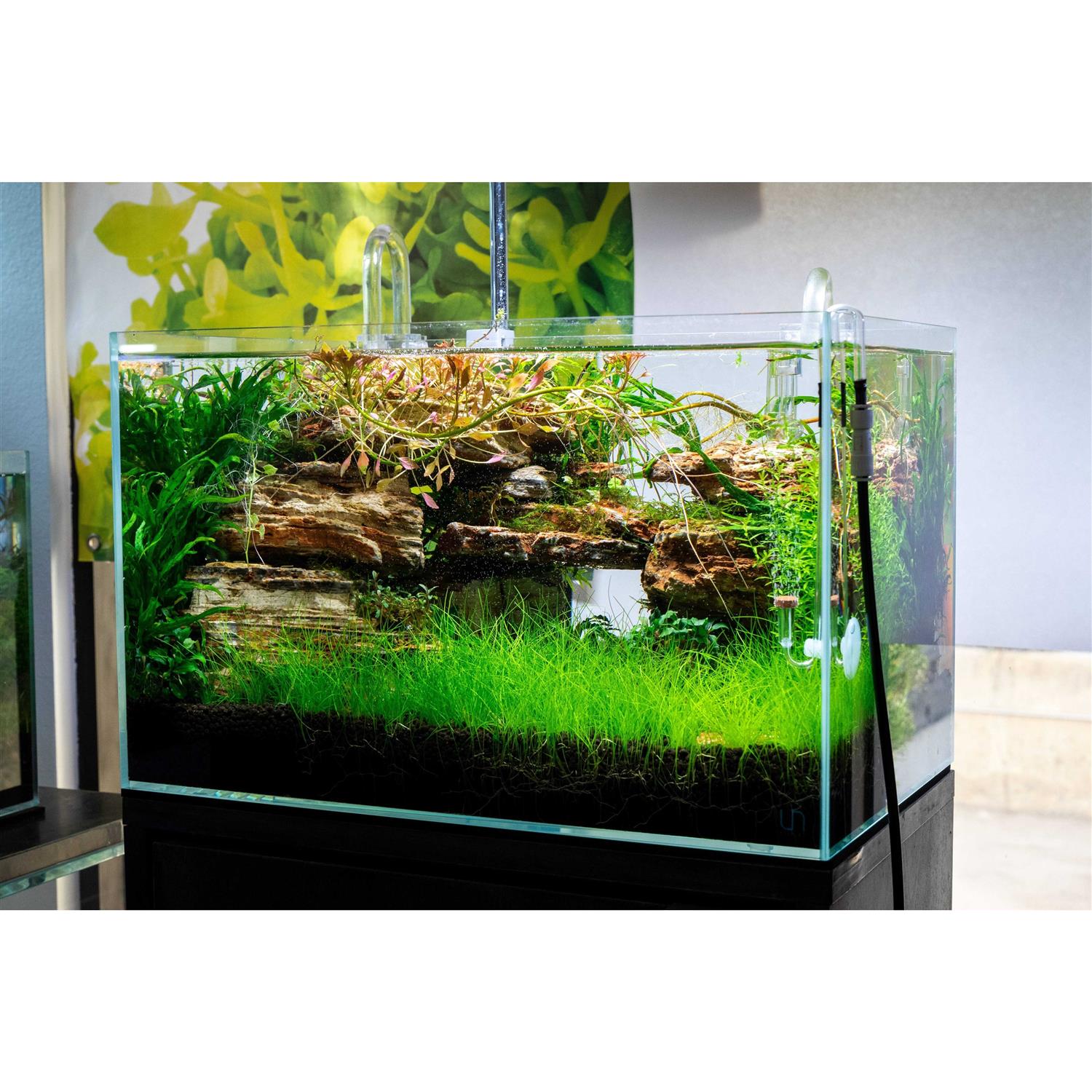 Ultum Nature Systems Rimless Aquarium UNS 45U 9 gallons - Pet Supplies online store