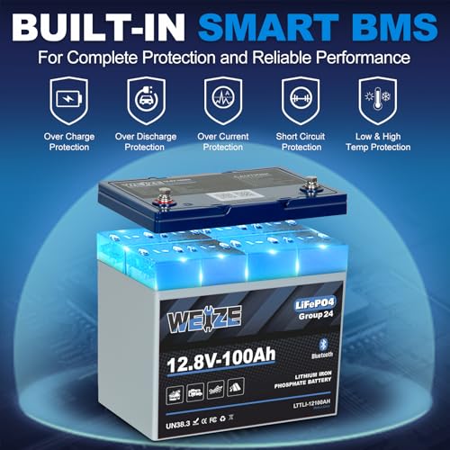 Weize 12V 100Ah TM Bluetooth LiFePO4 Lithium Battery, Built-in 120A BMS