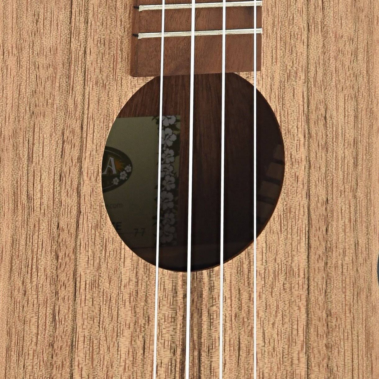Kala KA-PWTE Pacific Walnut Tenor Electric Ukulele