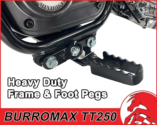 Burromax TT250 Electric Dirt Bike for Kids, 250w 24v 7ah, 2 Speeds, 14 Mph, Up to 150lb Rider, Off-Road Electric Mini Bike