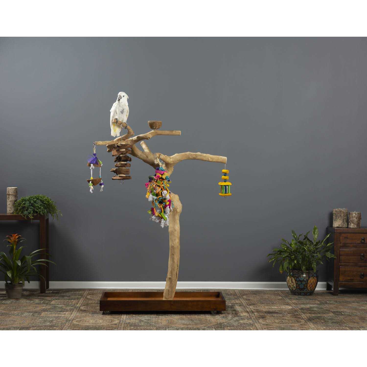 Prevue Pet Products Coffeawood Tree Style #2 Floor Stand - Pet Supplies online store