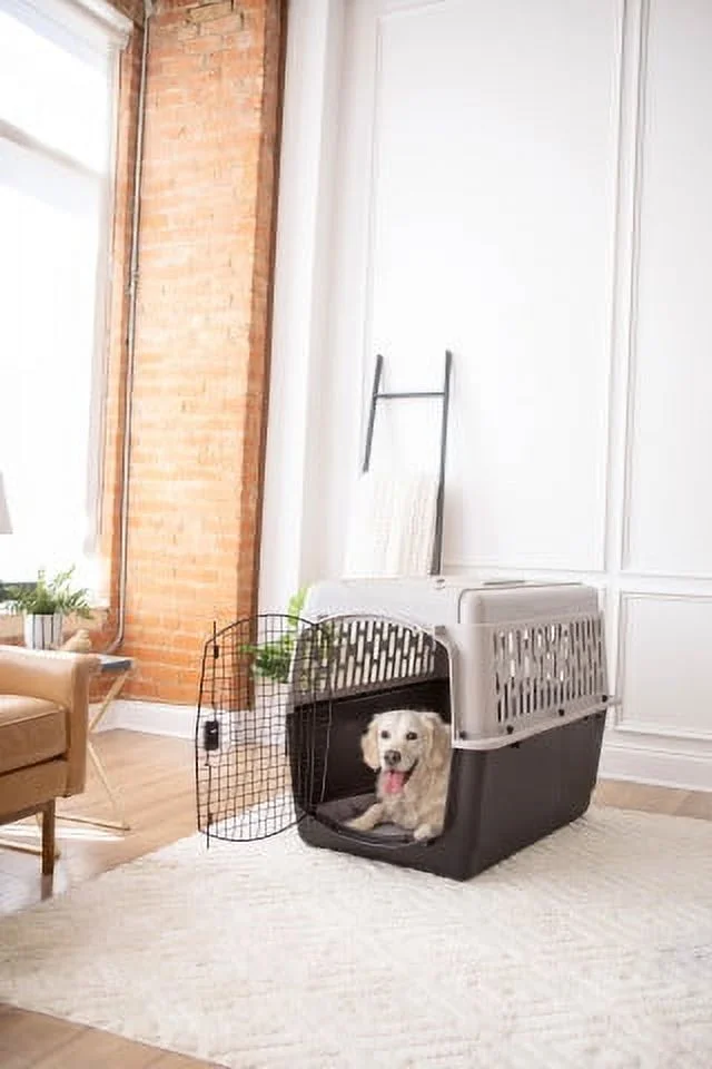 Vibrant Life Pet Kennel 19 X-Small Plastic Dog Crate Portable Carrier for Pets Up To 10 lbs