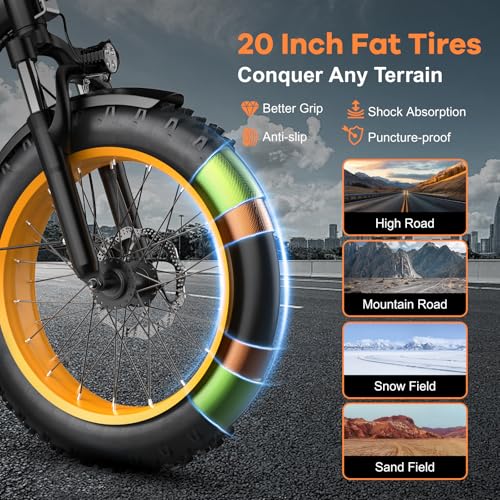 Folding Electric Bike for Adults with Peak 1000W Motor, 48V 20AH Battery up to 30MPH 80 Miles, 20" Fat Tire All Terrain Ebike