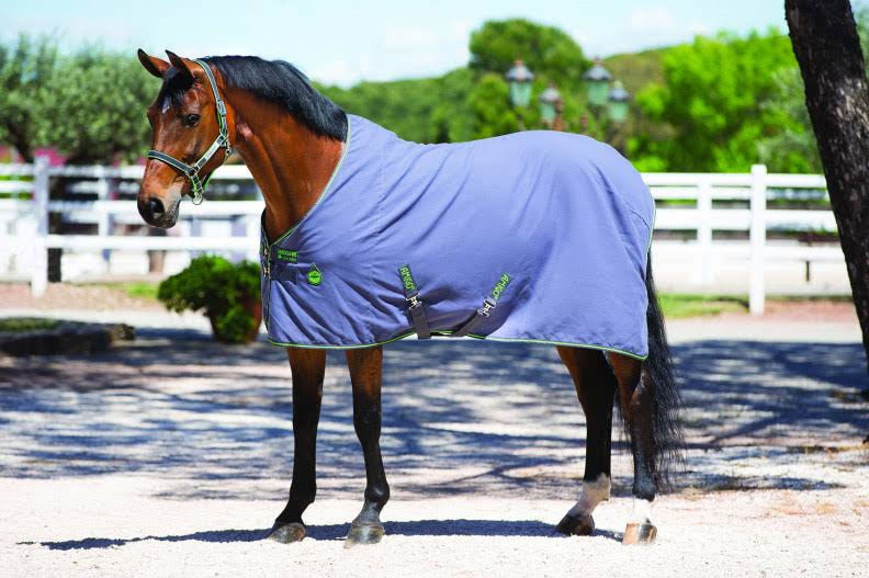 Amigo Stable Sheet - Excalibur/Orange