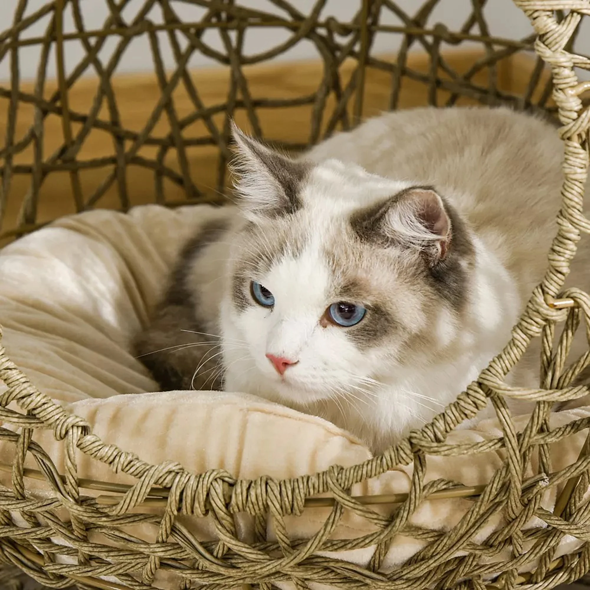Glavbiku Rattan Elevated Cat Bed Kitty Condo with Soft Cushion,Wicker and Round Base, Brown