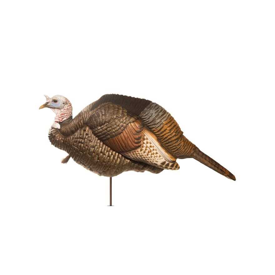 Dave Smith Decoys Posturing Jake Turkey Decoy - Sports Supplies Online Store