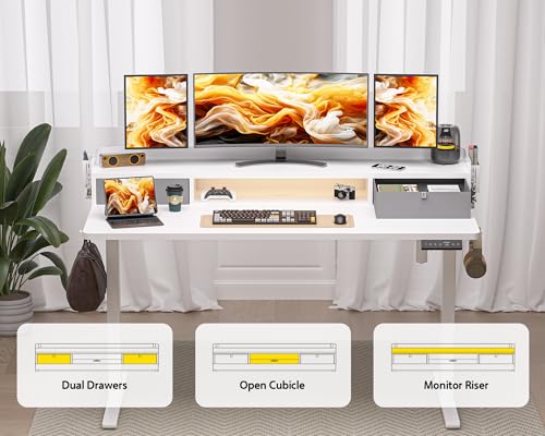 48x24 Inches Electric Standing Desk with 2 Drawers, Height Adjustable Stand up Desk for Home Office, Ergonomic Sit to Stand Table with Storage Shelf