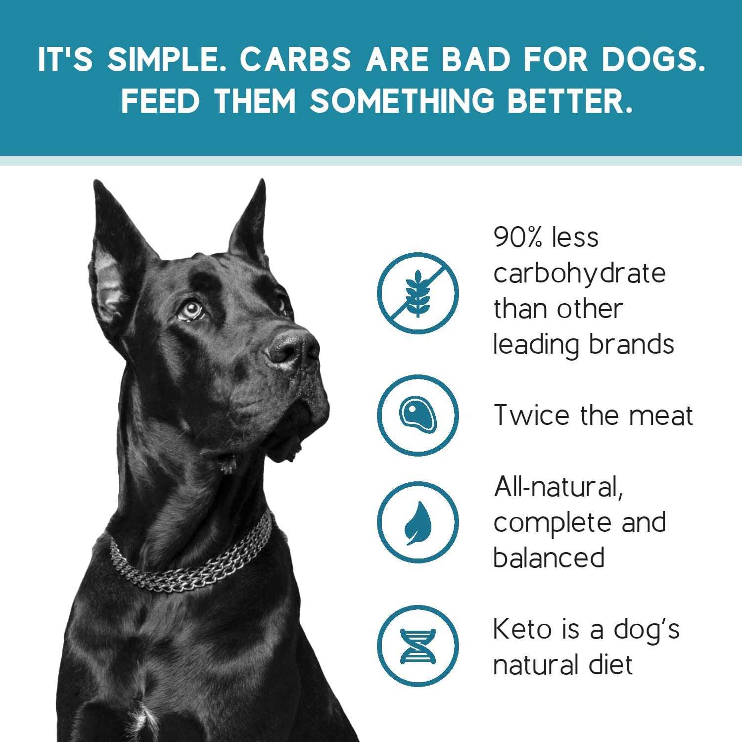 Ketona Chicken Recipe Adult Dry Dog Food Natural Low Carb High Protein - Pet Supplies online store