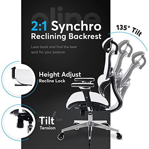 Oline ErgoPro Ergonomic Office Chair, Rolling Desk Chair with 4D Adjustable Armrest, 3D Lumbar Support, Blade Wheels