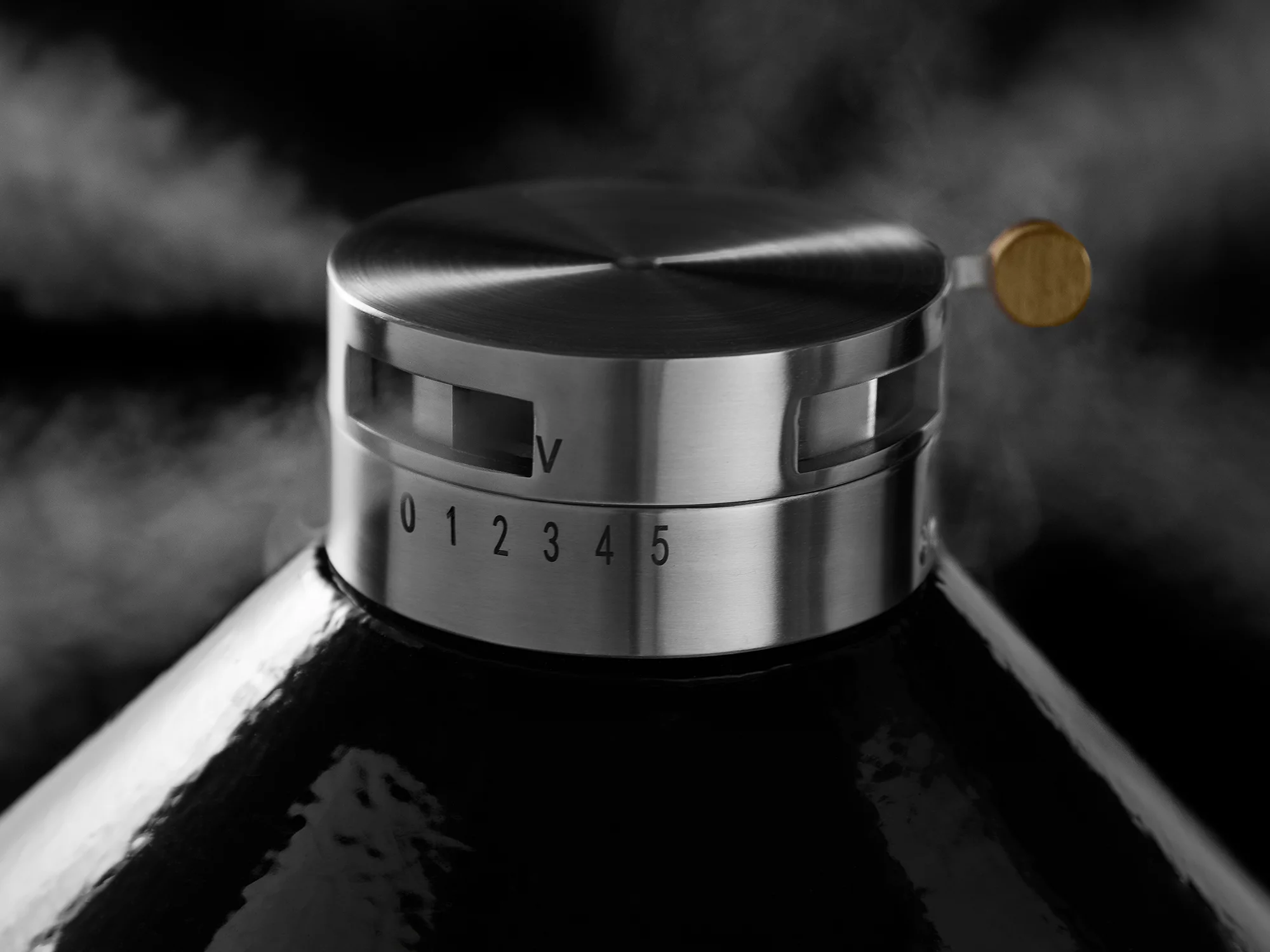 NewAge Products 22 in. Black Kamado Pro Grill