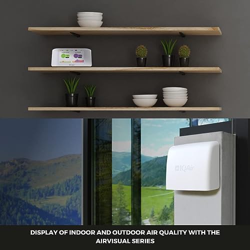 IQAir Air Quality Monitor Indoor, Swiss Design, Professional Grade, Detects PM2.5, CO2, AQI, Temperature, Humidity