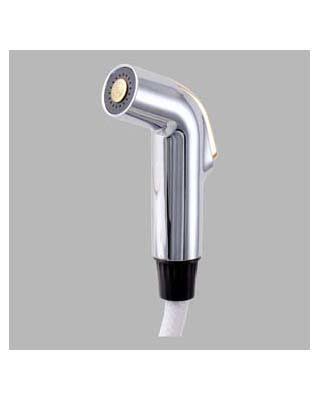 Delta RP39345PB Spray and Hose ASSEMBLY, Polished Brass