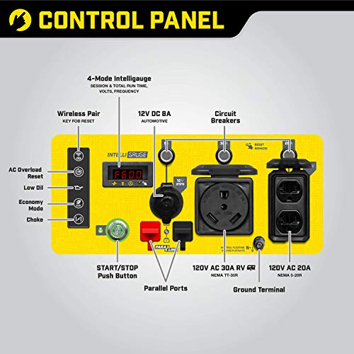Champion Power Equipment 4250-Watt Dual Fuel RV Ready Portable Open Frame Inverter Generator with Quiet Technology