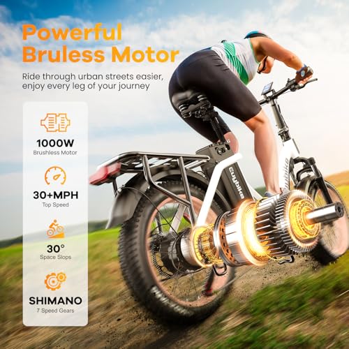 Folding Electric Bike for Adults with Peak 1000W Motor, 48V 20AH Battery up to 30MPH 80 Miles, 20" Fat Tire All Terrain Ebike