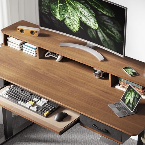 48x24 Inches Electric Standing Desk with 2 Drawers, Height Adjustable Stand up Desk for Home Office, Ergonomic Sit to Stand Table with Storage Shelf
