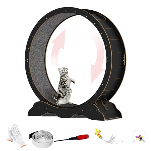 Cat Exercise Wheel 45 Inch Cat Treadmill for Indoor Cats, Running Wheel with Detachable Carpeted Runway