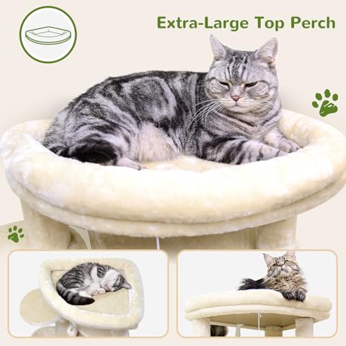 Globlazer Corner Cat Tree for Large Cats, 66inch Tall Curved Series Large Cat Tower for Multiple Indoor Cats with 6 Scratching Posts