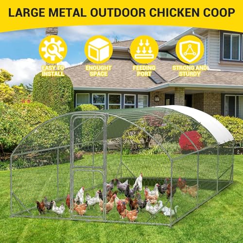 Large Metal Chicken Coop, Walk-in Poultry Cage
