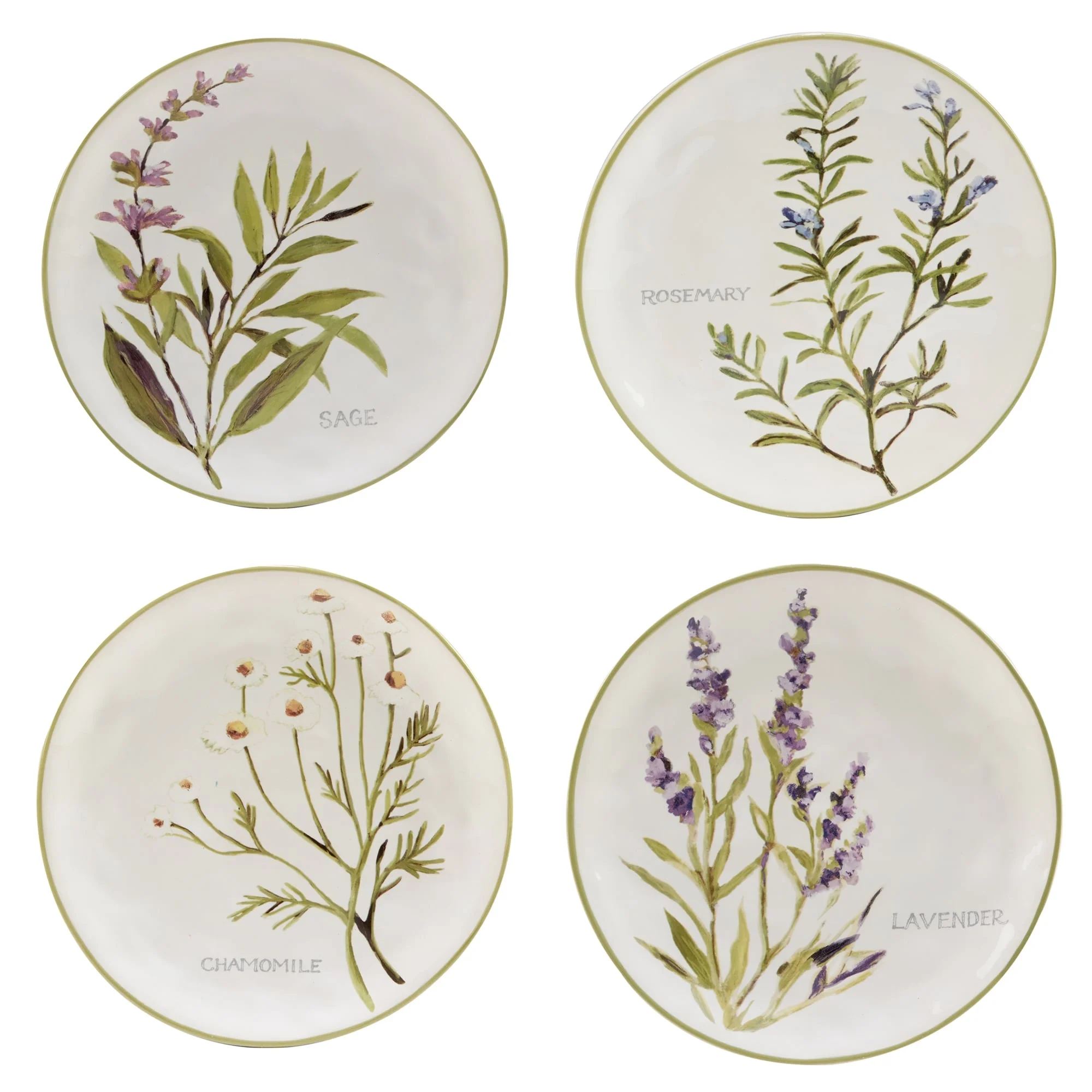 Certified International  Fresh Herbs 16-Piece Dinnerware Set, Service for 4